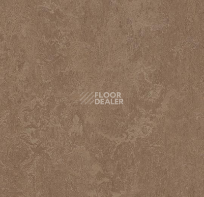 Линолеум Forbo Marmoleum Marbled Fresco 3254-325435 clay фото 1 | FLOORDEALER